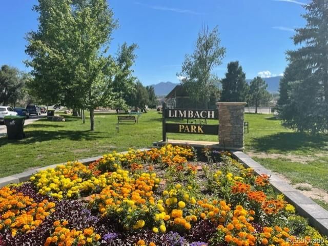 2325 Coyote Mint Dr, Monument, CO 80132