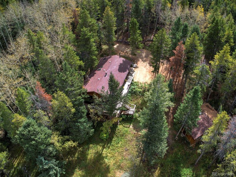 8391 London Ln, Conifer, CO 80433