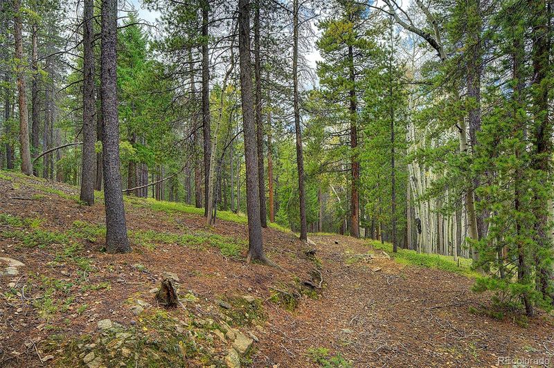 8431 London Ln, Conifer, CO 80433