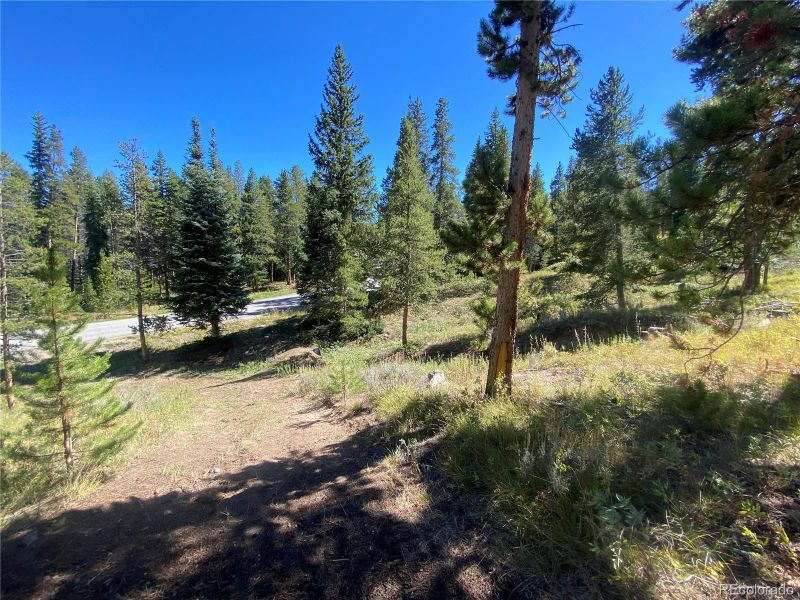 2035 Highlands Dr, Breckenridge, CO 80424