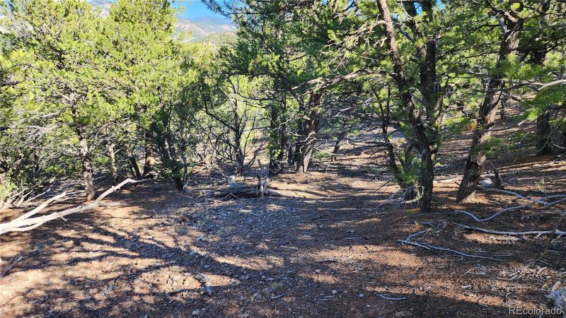 4314 Mccormick Rd, Fort Garland, CO 81133