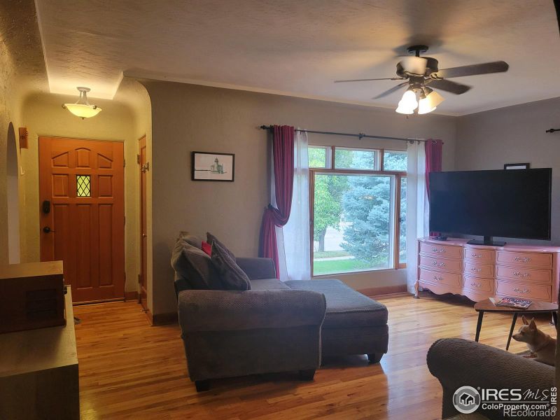 421 Locust St, Windsor, CO 80550