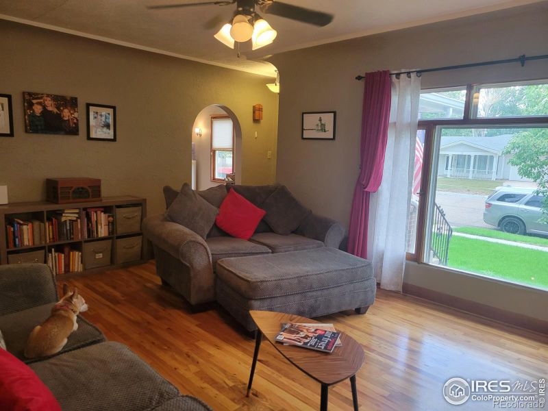 421 Locust St, Windsor, CO 80550