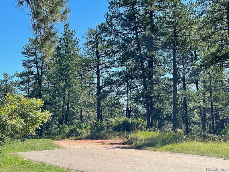 8177 Bannock Dr Lot 8, Larkspur, CO 80118