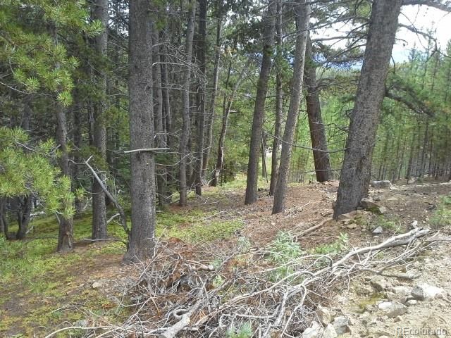Glory Hole Lot 396, Idaho Springs, CO 80452