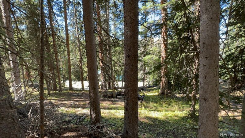 711 Doris Dr, Breckenridge, CO 80424