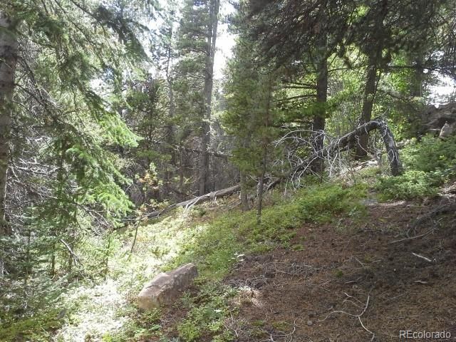 00 Glory Hole Rd Lot 400, Idaho Springs, CO 80452
