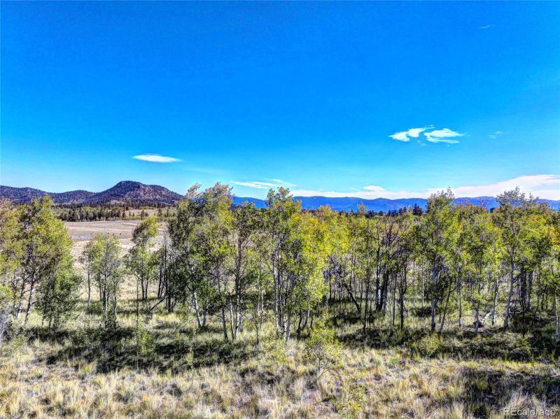 225 Antelope Way, Como, CO 80432