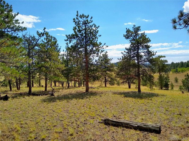 2789 Wagon Wheel Rd Lot 0325, Hartsel, CO 80449