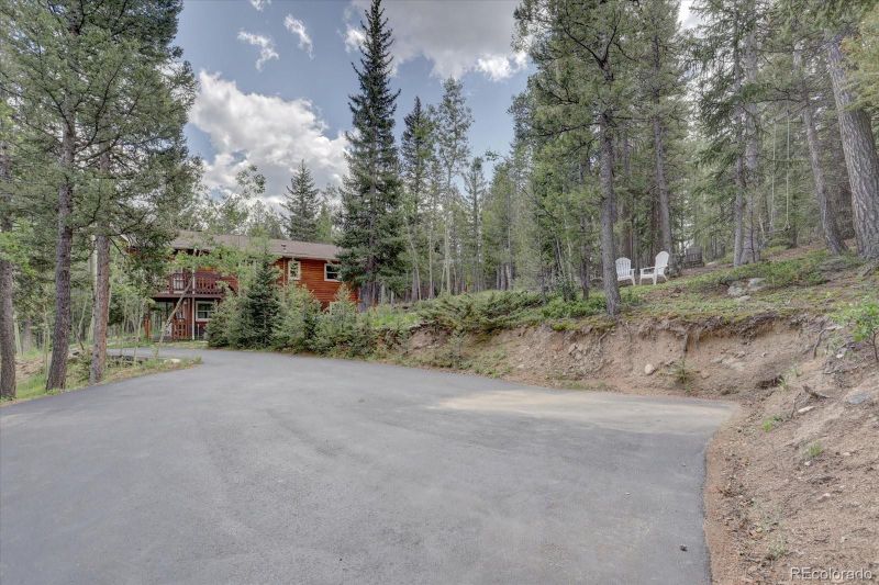11437 Nancys Dr, Conifer, CO 80433
