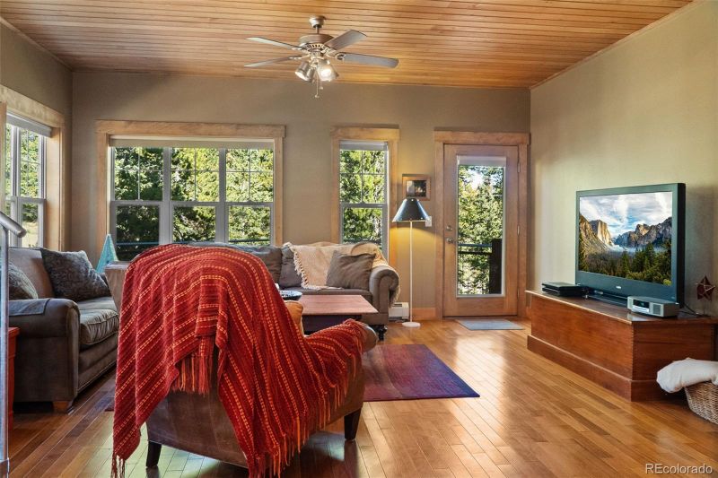 44 Gold Trail Cir, Fairplay, CO 80440