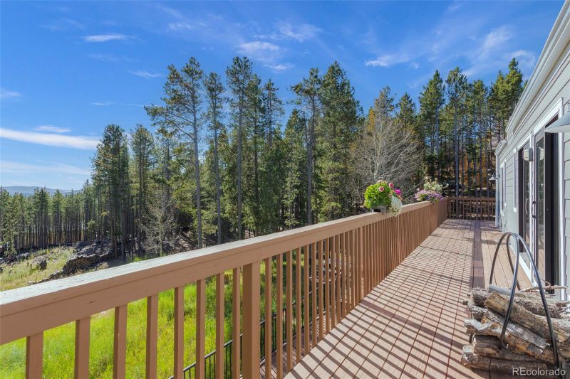 31888 Stenzel Dr, Conifer, CO 80433