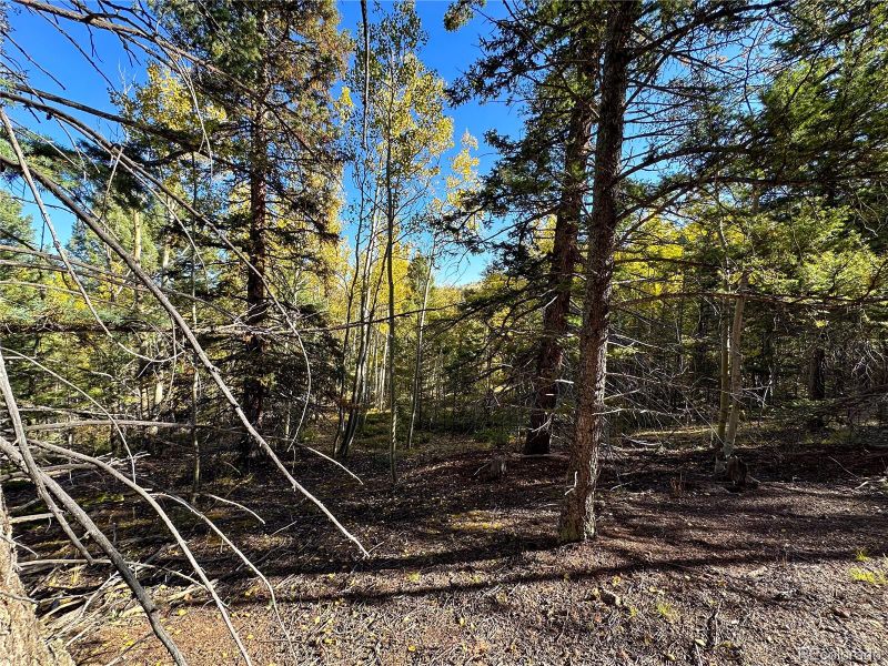 1386 Monarch Dr, Cripple Creek, CO 80813