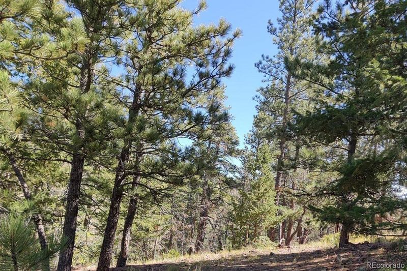 000 Monument Gulch Way, Bellvue, CO 80512