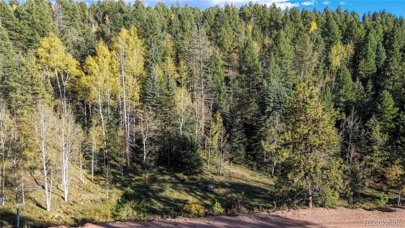 308 Idlewild Dr, Cripple Creek, CO 80813