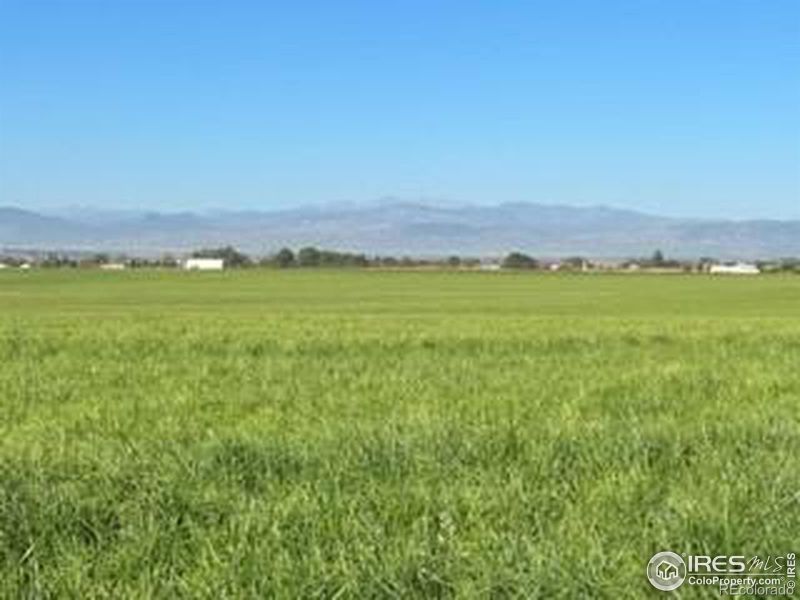 Rd, Windsor, CO 80550