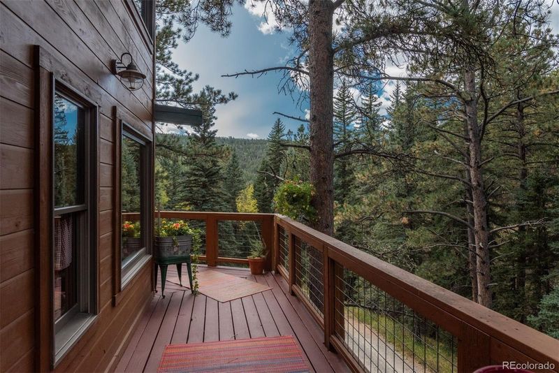 24151 Black Bear Ln, Conifer, CO 80433