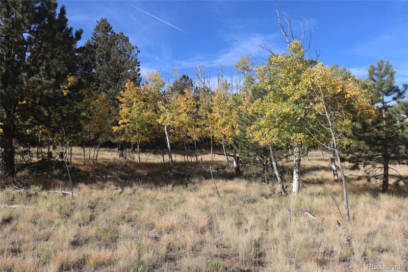 2348 Campfire Rd Lot 1472, Hartsel, CO 80449