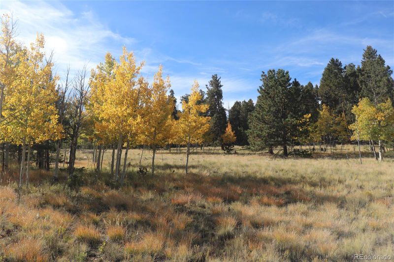 2348 Campfire Rd Lot 1472, Hartsel, CO 80449