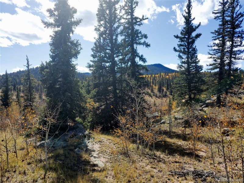 150 Ambush Ln Lot 389, Jefferson, CO 80456