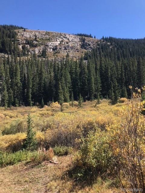 South Lot Chicago Creek Rd South Lot, Idaho Springs, CO 80452