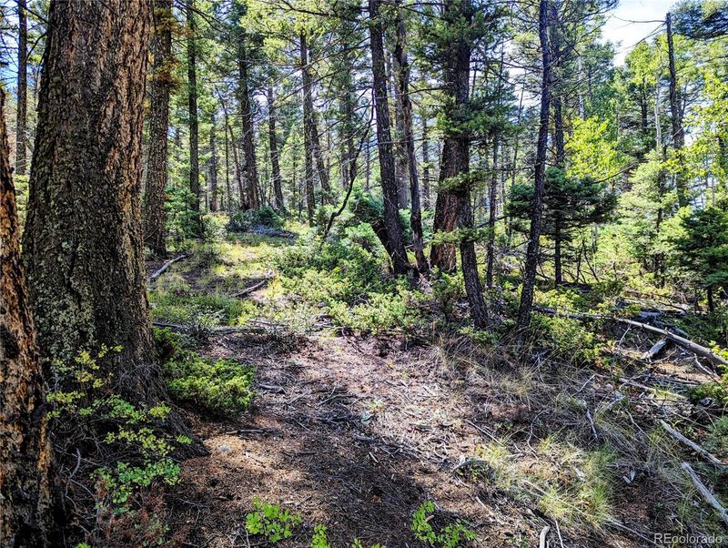 Lot 6162 Batton Rd, Fort Garland, CO 81133
