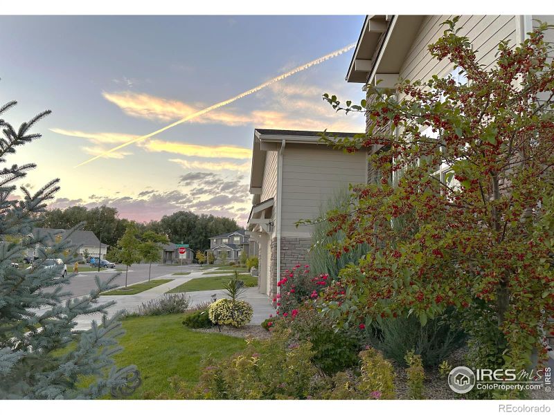 6175 Eagle Roost Dr, Fort Collins, CO 80528