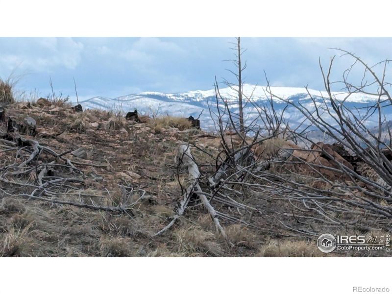 109 Snowy Range Ct, Livermore, CO 80536