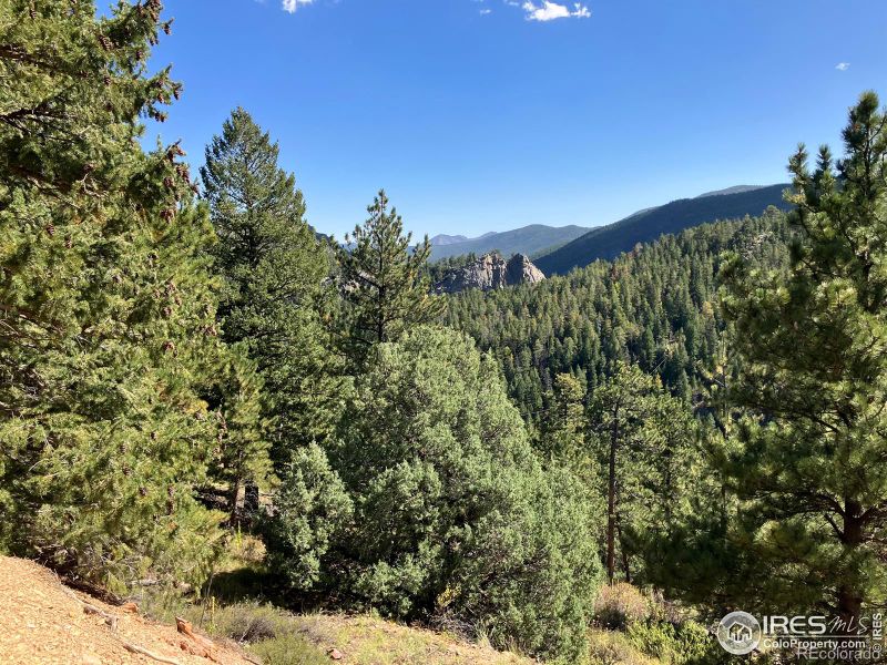 1785 Old Townsite Rd, Boulder, CO 80302