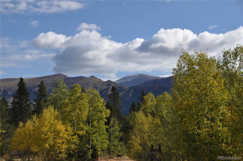 633 County Road 61, Florissant, CO 80816