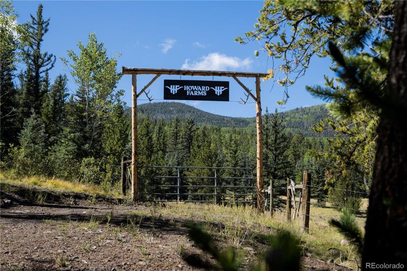 10801 Co Road M 32, La Garita, CO 81132
