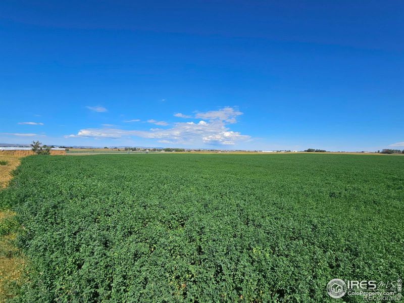 4811 E County Road 66, Wellington, CO 80549