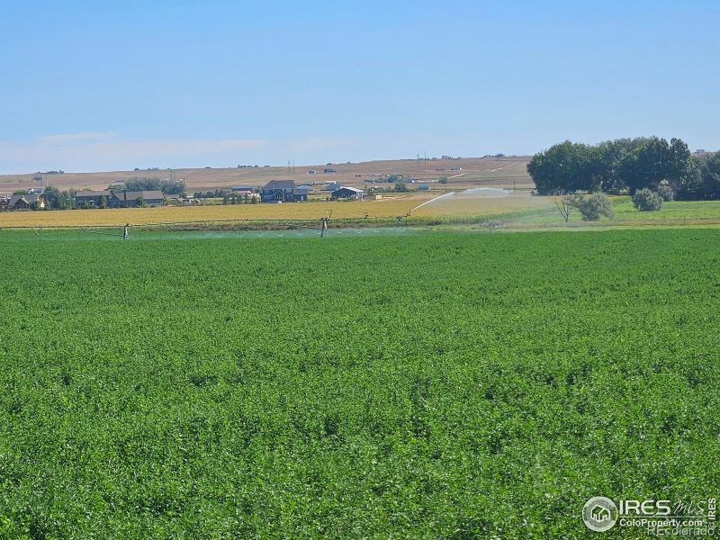 4811 E County Road 66, Wellington, CO 80549