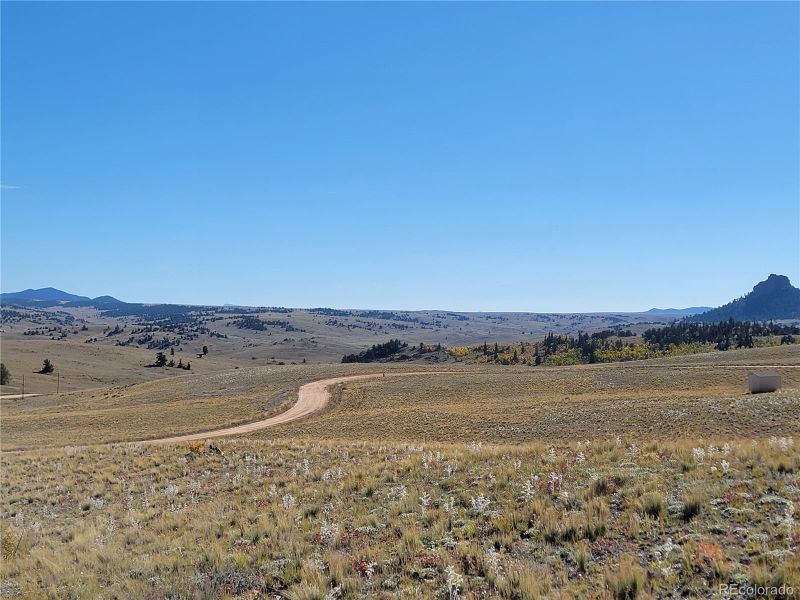 791 Al Gulch Rd, Jefferson, CO 80456