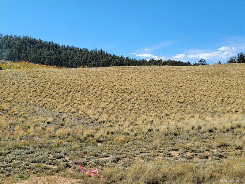 791 Al Gulch Rd, Jefferson, CO 80456