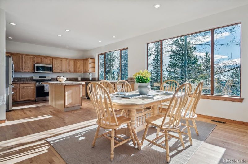 1370 Squaw Mtn Trl, Idaho Springs, CO 80452
