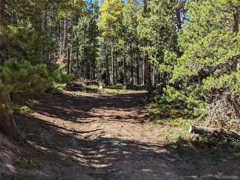 2971-2972 Forbes Park Loop, Fort Garland, CO 81133