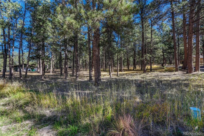 18165 Woodhaven Dr, Colorado Springs, CO 80908