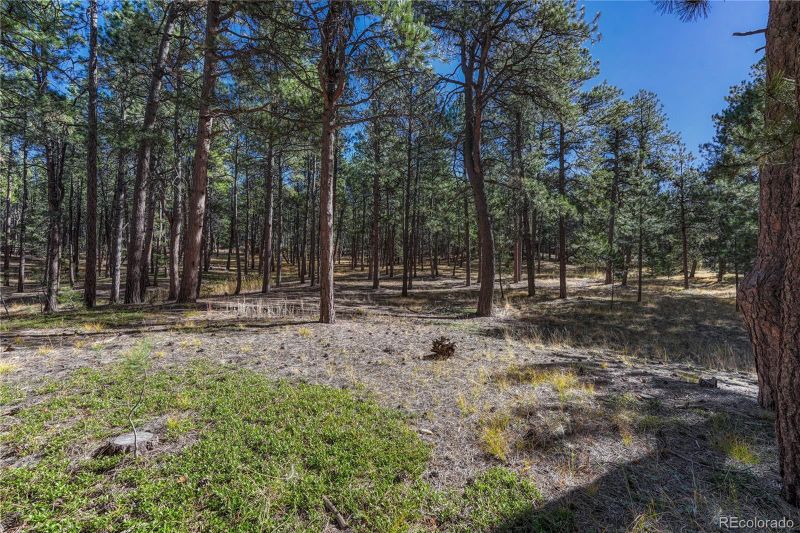 18165 Woodhaven Dr, Colorado Springs, CO 80908