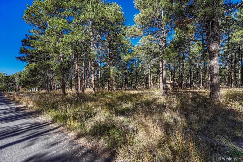 3620 Highview Dr, Colorado Springs, CO 80908