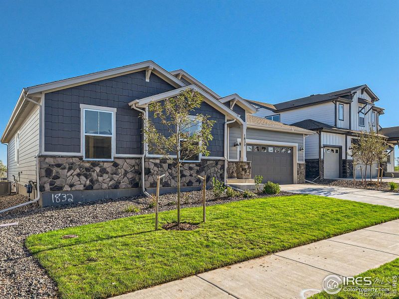 1832 Golden Sun Dr, Windsor, CO 80550