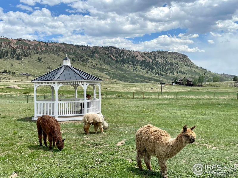 201 Spring Gulch Dr, Lyons, CO 80540