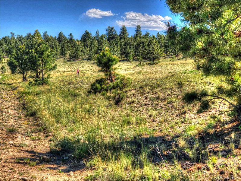 1135 Costella Dr, Hartsel, CO 80449