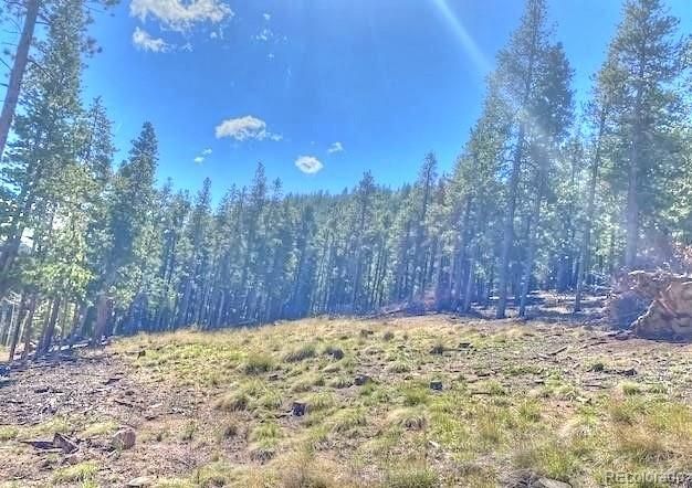 233 Renaud Rd, Bailey, CO 80421