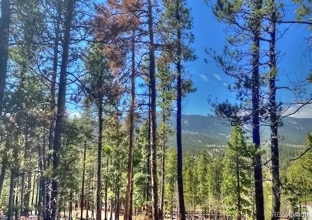 233 Renaud Rd, Bailey, CO 80421