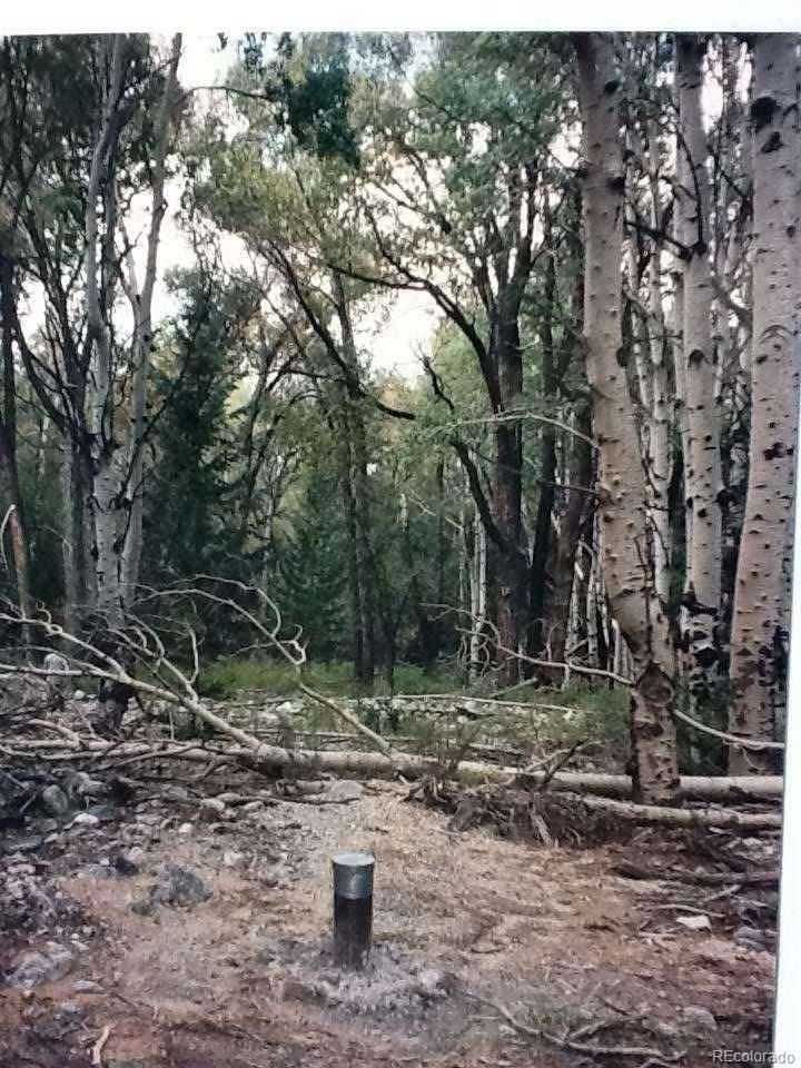 259 Mill Run Rd, Mosca, CO 81146