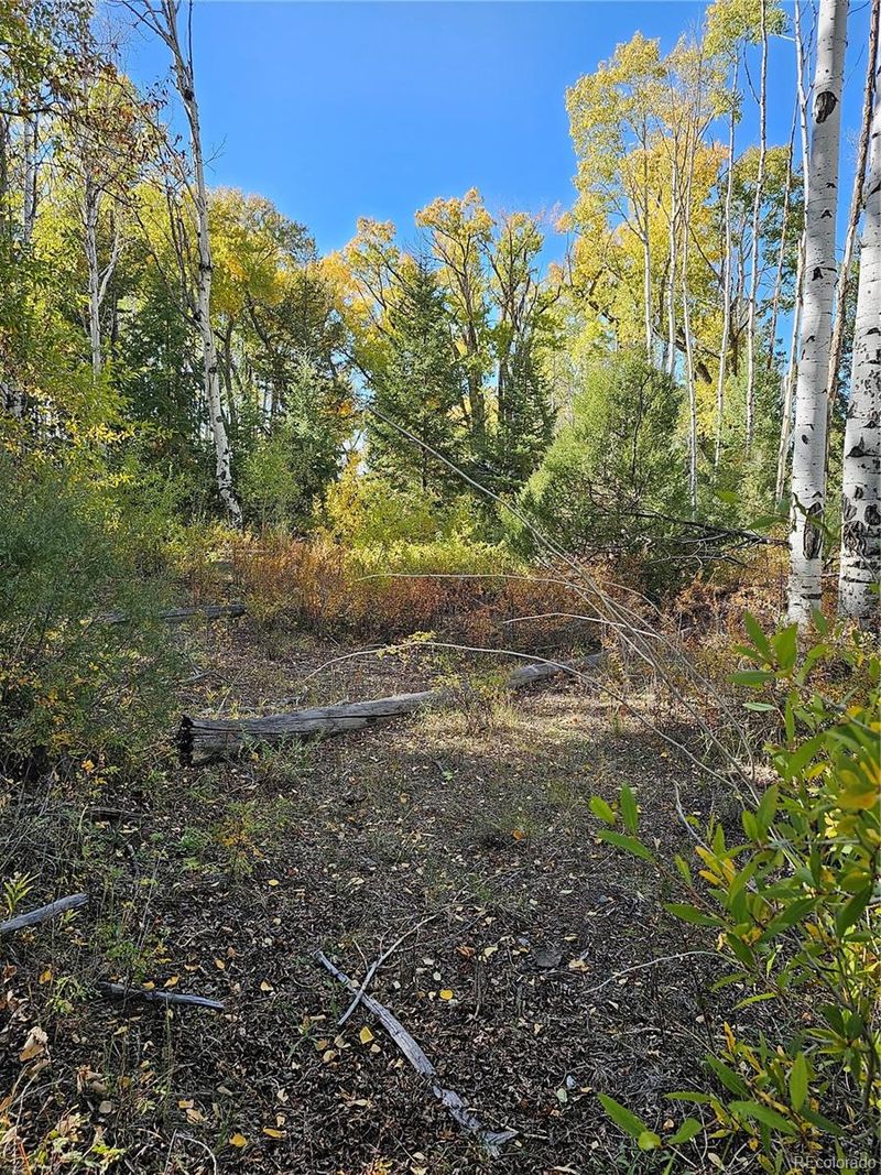 259 Mill Run Rd, Mosca, CO 81146