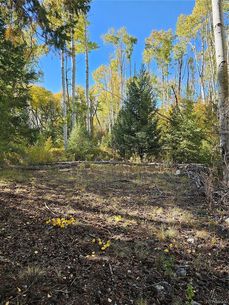 259 Mill Run Rd, Mosca, CO 81146