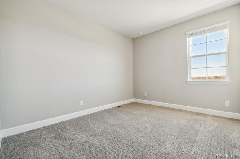 1564 Diamond Hill Ct, Castle Rock, CO 80104