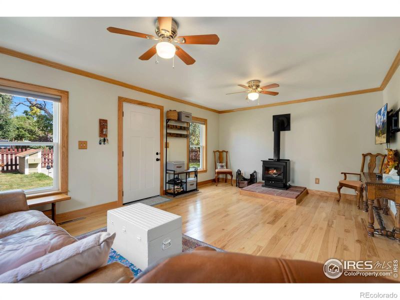 3721 Garfield Ave, Wellington, CO 80549